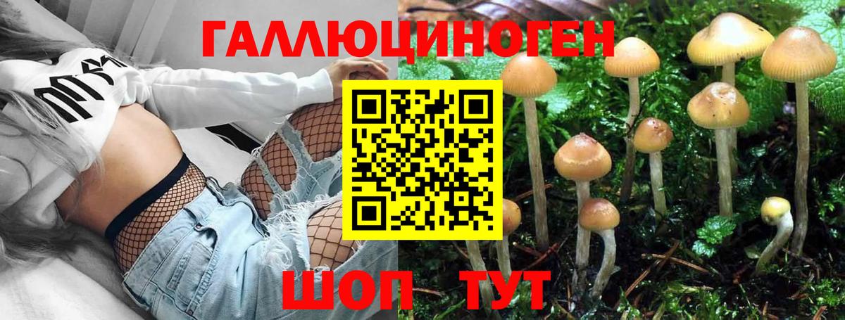 Псилоцибиновые грибы мицелий  Вход с VPN  Галлюциногенные грибы прущие грибы  наркошоп  Рузаевка 