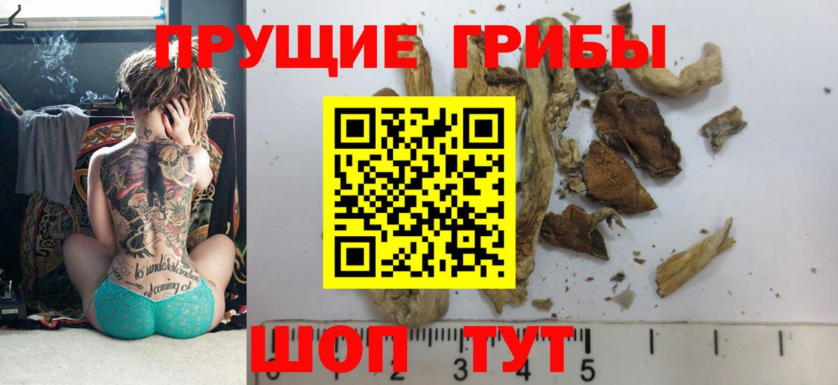 Галлюциногенные грибы ЛСД Рузаевка